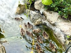 -伴山茶苑·围炉煮茶