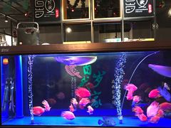 -百岁我家·酸菜鱼专门店(塘下店)