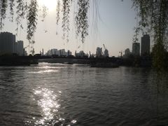 -运河游船(武林门码头)