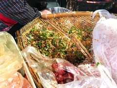 -半月镰胡姐脆皮萝卜饺子