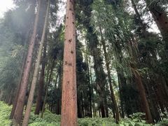 -太阳湾风景区