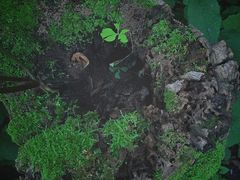 -玉渡山自然风景区