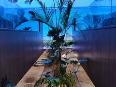 -大头椰·椰子鸡火锅(南宁万象城店)