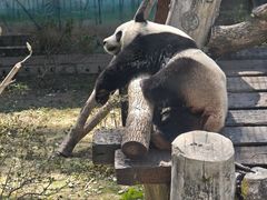 -温州动物园-北门售票处