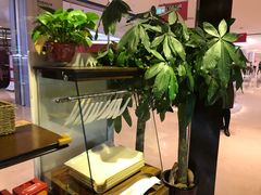 -法莱索尔(奥莱店)