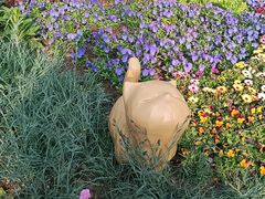 -西村日本料理(香格里拉饭店)