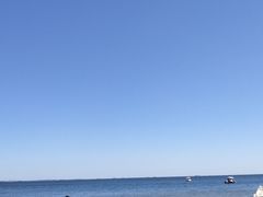 -四海鲜渔家菜(黄金海岸店)