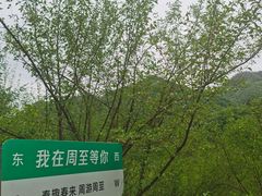 -黑河国家森林公园