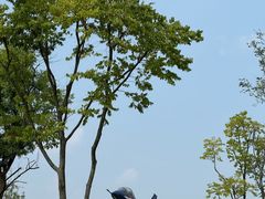 -成飞公园