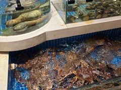 -渔人码头(中南店)