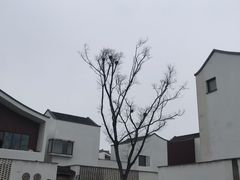 -东梓关景区村庄