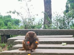 -重庆雨台山风景区