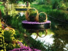 -上海共青森林公园