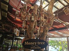 -卷心菜和避孕套餐厅(Pattaya)