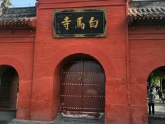 -洛阳白马寺