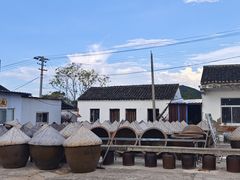 -苏州市吴中区光福窑上花果蜜饯厂