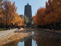 -玲珑塔公园