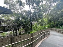 -福道
