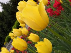 -长春公园(普阳街道)