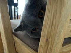 -Me Coffee下午茶艺术空间