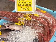 -南纪白浜Toretore市场