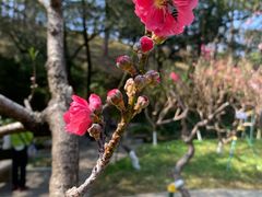 -桃花涧