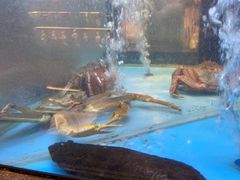 -九洲喜来登酒店湖月日餐厅