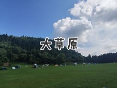 -武陵山森林公园