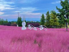 -羊亭河湿地公园