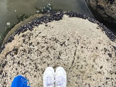 -摩拉基大圆石