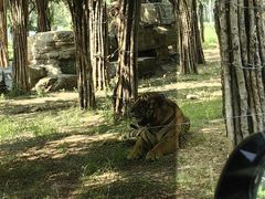 -秦皇岛野生动物园