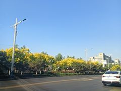 -北戴河集发农业梦想王国