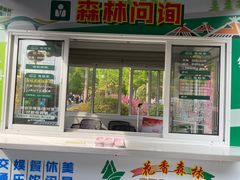 -东平国家森林公园