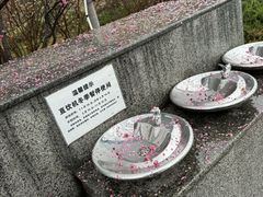 -郑家包子牛肉拉面(尚勤路店)