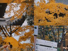 -龙华寺