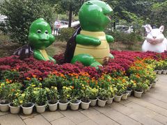 -柳州市动物园