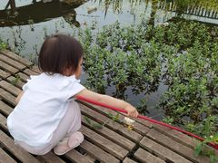 -同銮特种养殖场·龙虾垂钓