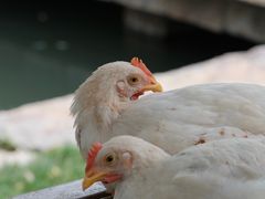-三里河公园