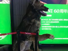 -卢米埃影城(住总万科杜比全景声激光店)