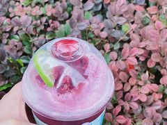 冰山葡萄冻-喜茶(深圳海岸城店)