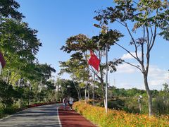 -上海长兴岛郊野公园