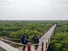 -北海金海湾红树林生态旅游区