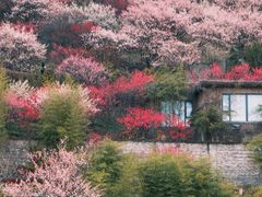 -台州府城(江南长城)
