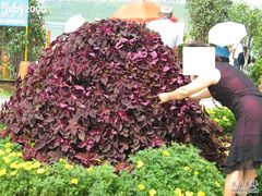 -丁香湖丁香小镇Citypark滑雪公园戏雪嘉年华