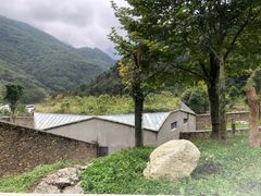 -卧龙中华大熊猫苑神树坪基地