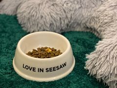 -Seesaw Coffee(上生新所店)