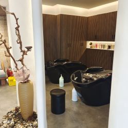-C-18 SALON