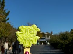-蓬莱阁景区