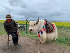 -青海湖国家重点风景名胜区