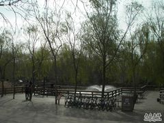 -溱湖国家湿地公园